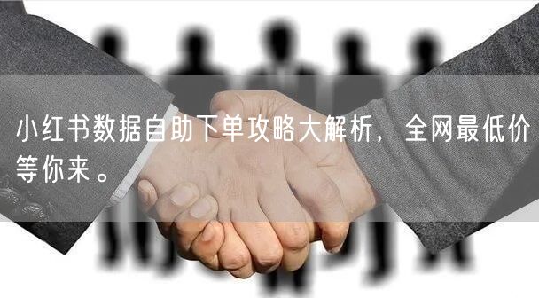 小红书数据自助下单攻略大解析，全网最低价等你来。