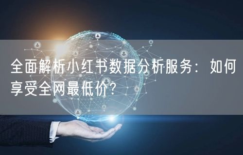 全面解析小红书数据分析服务：如何享受全网最低价？