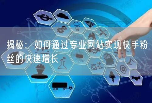 揭秘：如何通过专业网站实现快手粉丝的快速增长