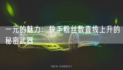 一元的魅力:快手粉丝数直线上升的秘密武器