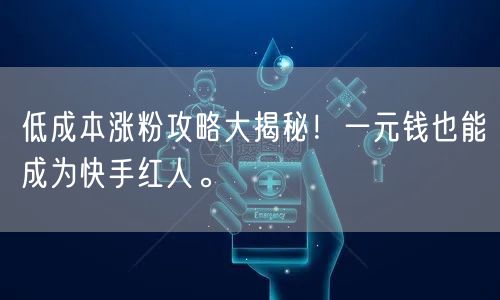低成本涨粉攻略大揭秘!一元钱也能成为快手红人。