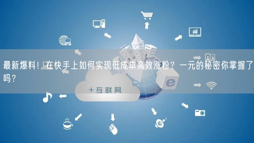 最新爆料！在快手上如何实现低成本高效涨粉？一元的秘密你掌握了吗？