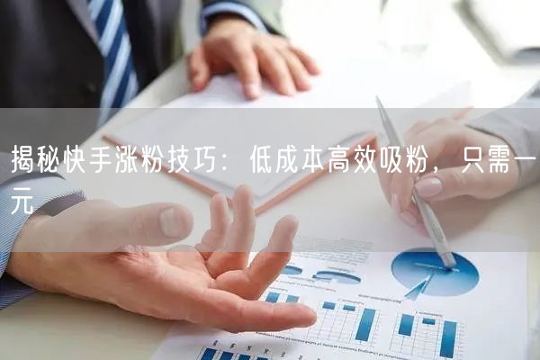 揭秘快手涨粉技巧：低成本高效吸粉，只需一元