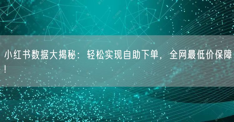 小红书数据大揭秘：轻松实现自助下单，全网最低价保障!