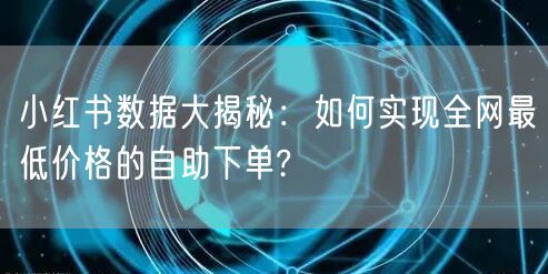 小红书数据大揭秘：如何实现全网最低价格的自助下单?
