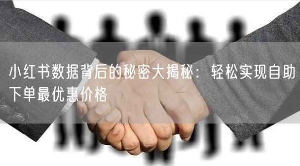 小红书数据背后的秘密大揭秘：轻松实现自助下单最优惠价格