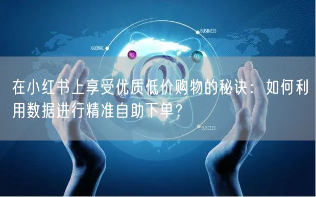 在小红书上享受优质低价购物的秘诀：如何利用数据进行精准自助下单？