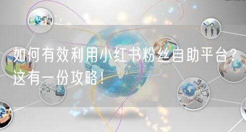 如何有效利用小红书粉丝自助平台？这有一份攻略！
