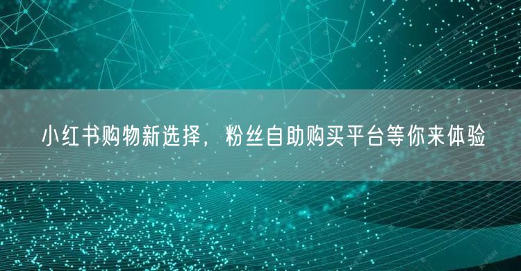 小红书购物新选择，粉丝自助购买平台等你来体验