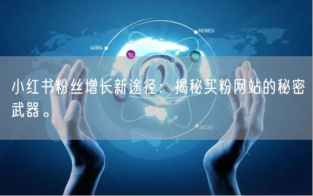 小红书粉丝增长新途径：揭秘买粉网站的秘密武器。