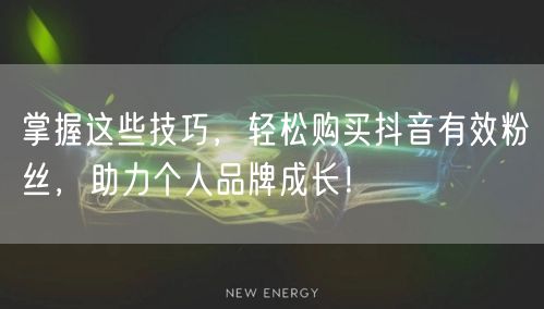 掌握这些技巧，轻松购买抖音有效粉丝，助力个人品牌成长！