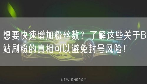 想要快速增加粉丝数？了解这些关于B站刷粉的真相可以避免封号风险！