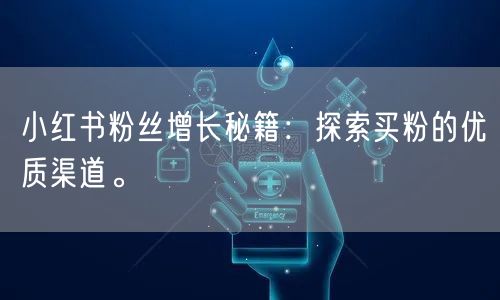 小红书粉丝增长秘籍：探索买粉的优质渠道。