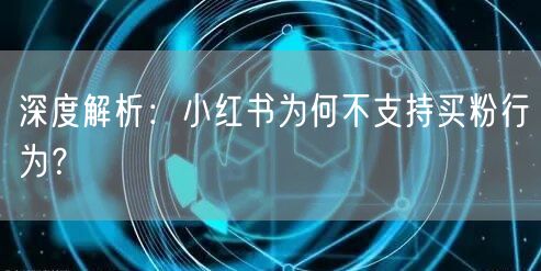 深度解析:小红书为何不支持买粉行为?