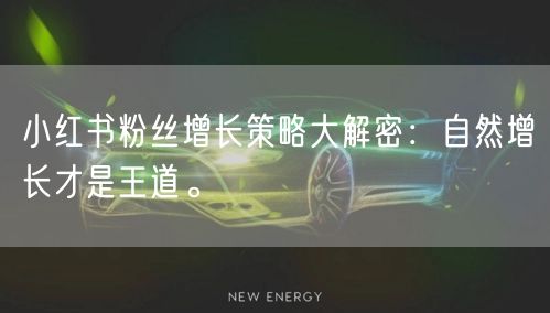 小红书粉丝增长策略大解密：自然增长才是王道。