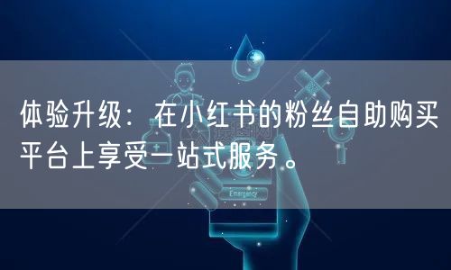 体验升级：在小红书的粉丝自助购买平台上享受一站式服务。