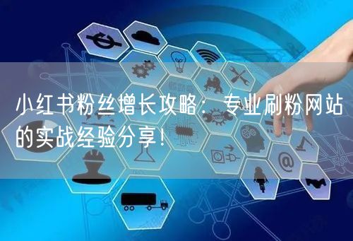 小红书粉丝增长攻略：专业刷粉网站的实战经验分享！