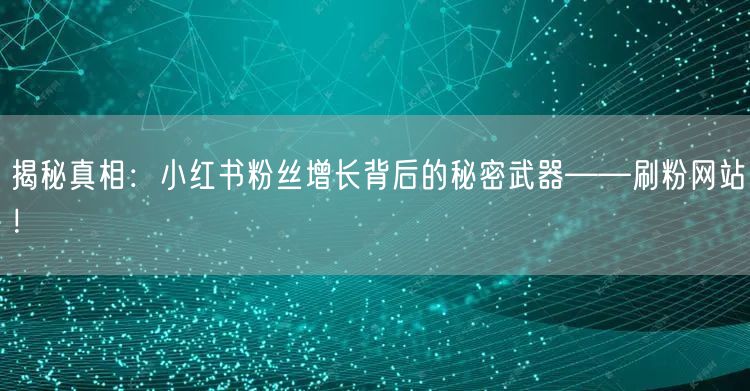 揭秘真相：小红书粉丝增长背后的秘密武器——刷粉网站！