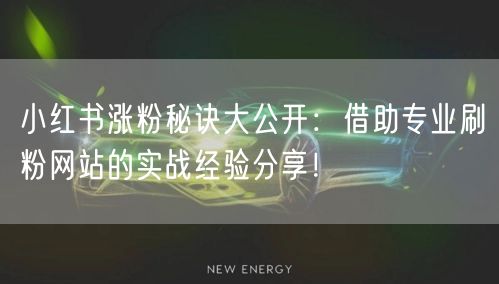 小红书涨粉秘诀大公开：借助专业刷粉网站的实战经验分享！