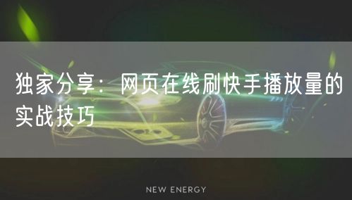 独家分享：网页在线刷快手播放量的实战技巧